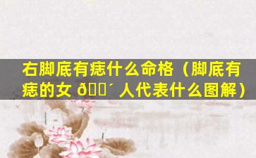右脚底有痣什么命格（脚底有痣的女 🐴 人代表什么图解）